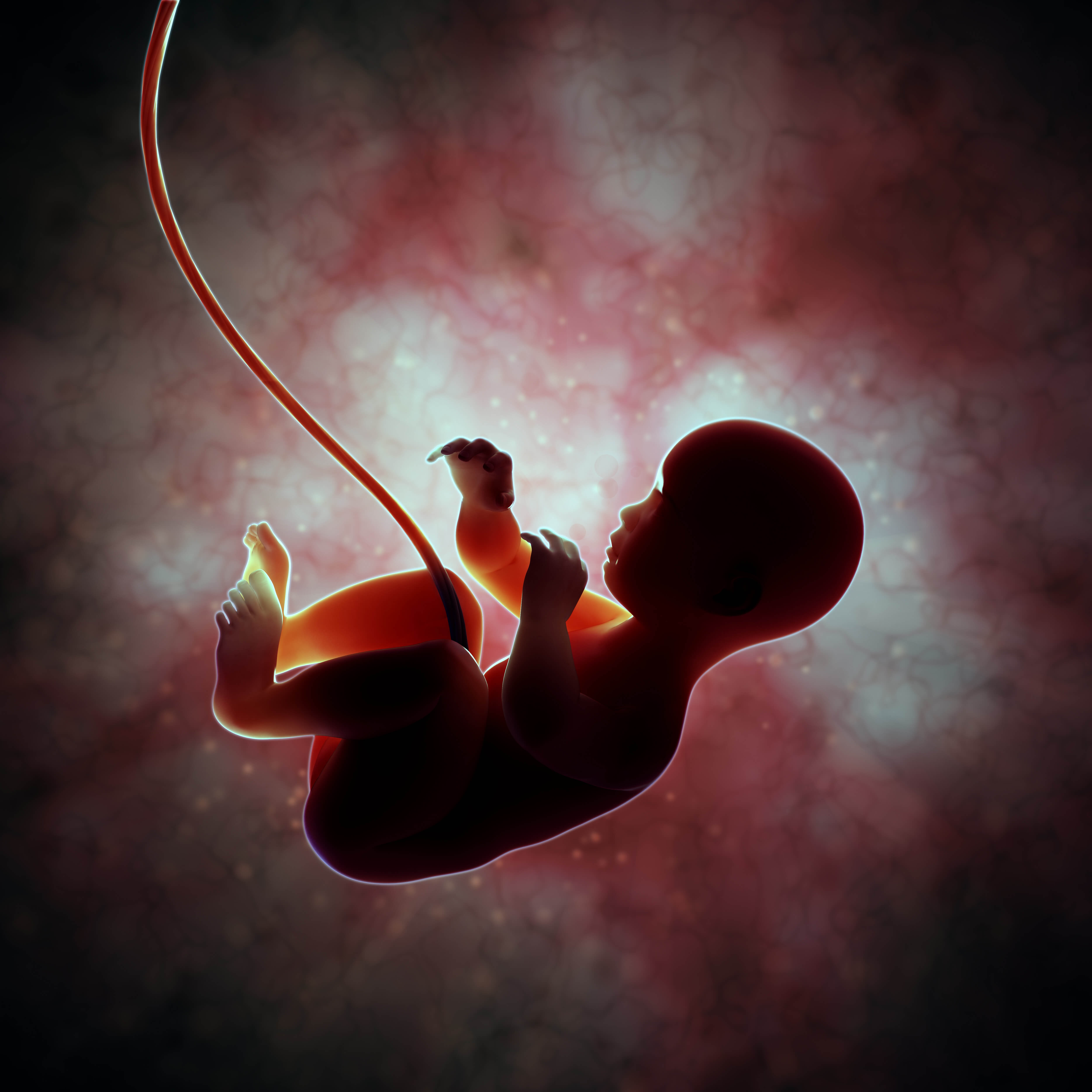 Maternal-Fetal Medicine Diploma