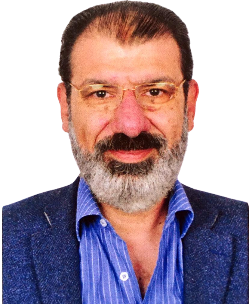 Professor Amr Khodair